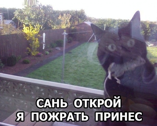 Так себе картинки 04.07.20