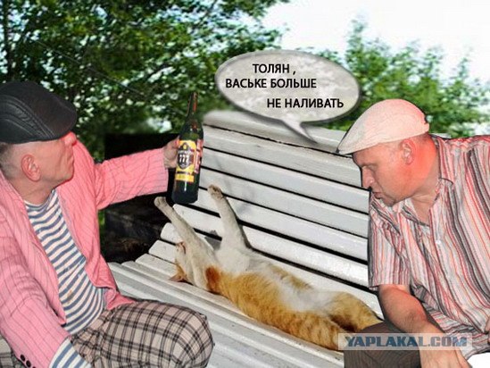 Я знал прикуп! Я в Сочи!