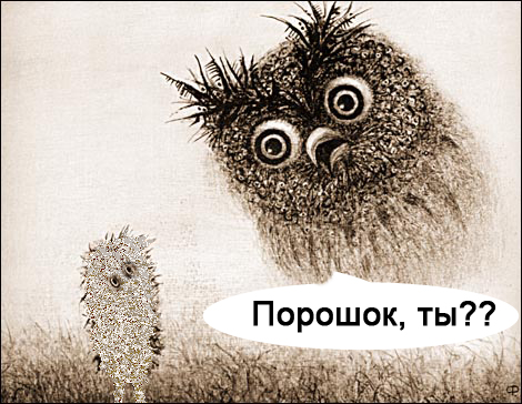 Порошок