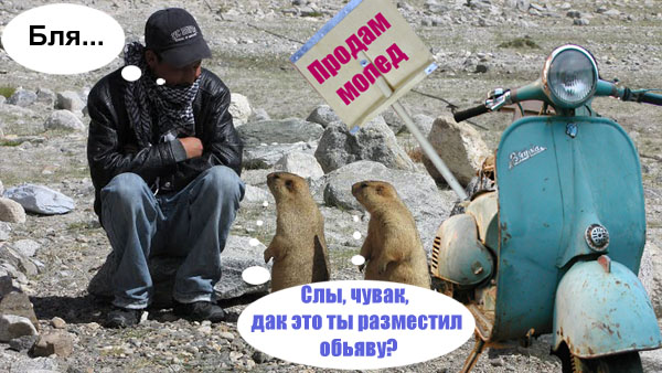 Сурки-гопники