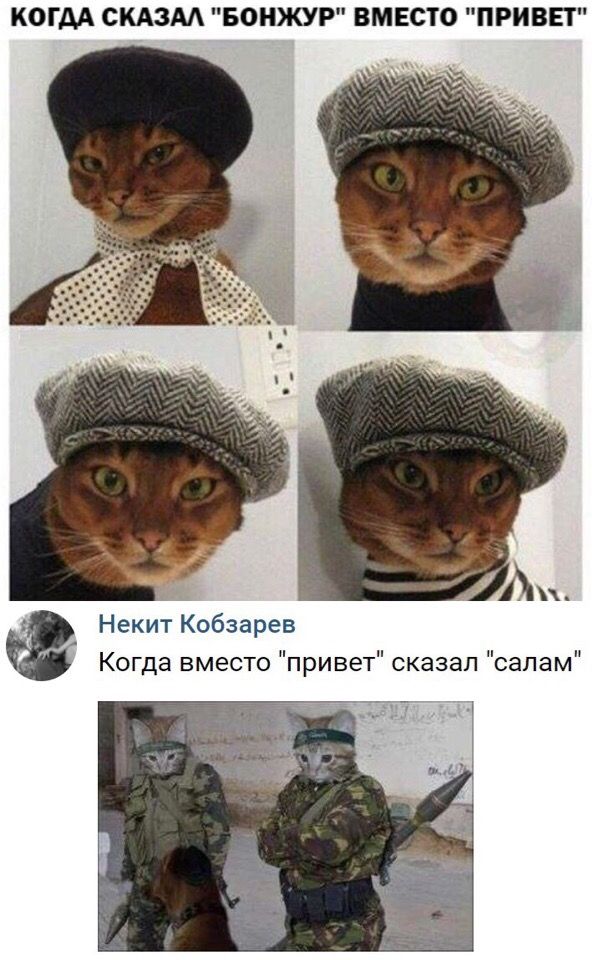Собчак пригрозили отрезать голову из-за поддержки Макрона 