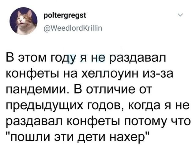 Немного картинок для настроения 10.11.20