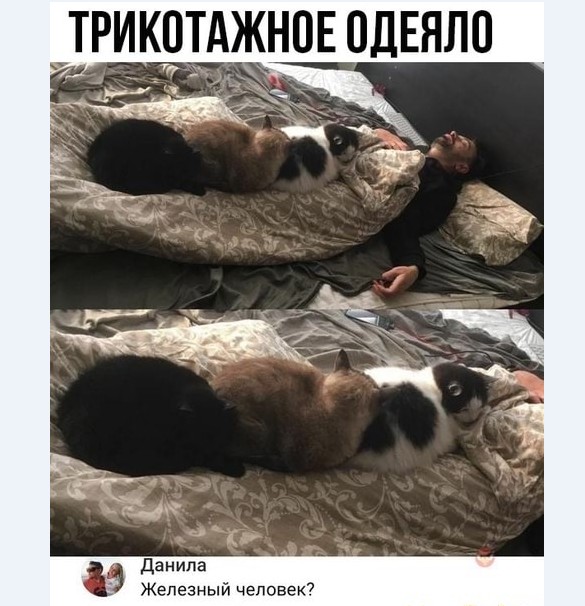 Картинки и мемы для настроения 010