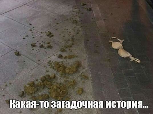 WTF: что тут происходит? (25.02.21)