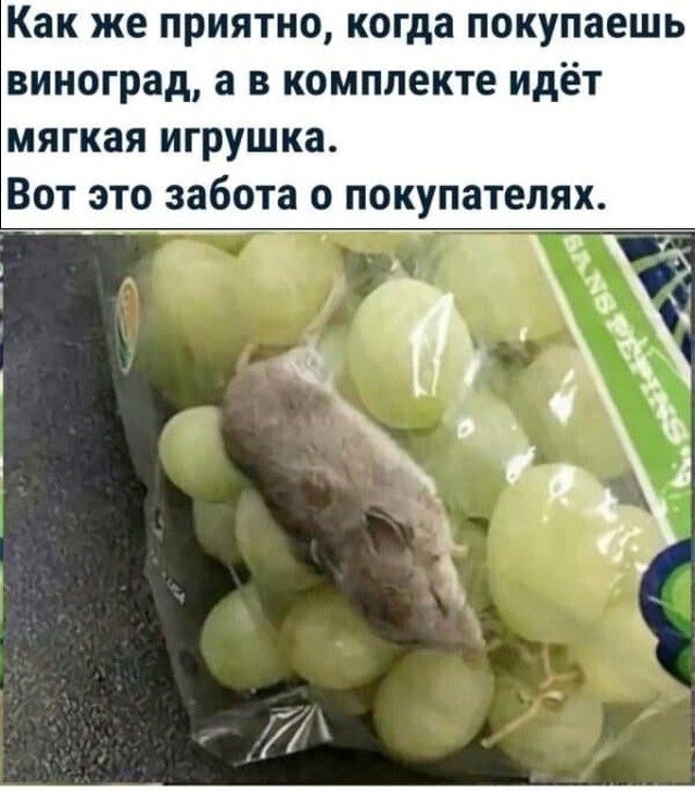 Картинки с надписями и всякие жизненные фразы 27.03.21