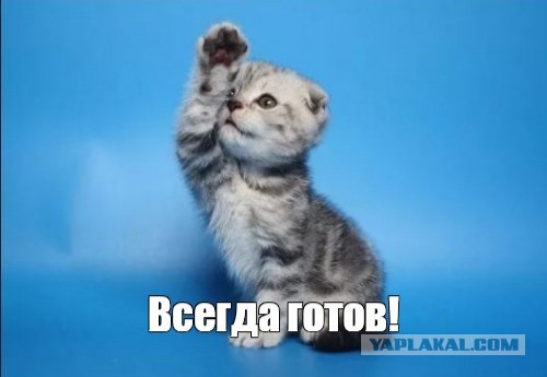 Латыши обманули Чулпан Хаматову