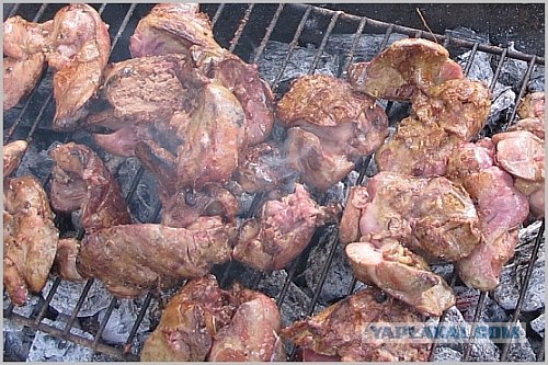 Шашлык, рецепты маринада, все про шашлык!