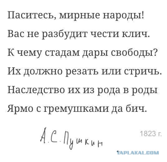 Так себе картинки 28.09.21