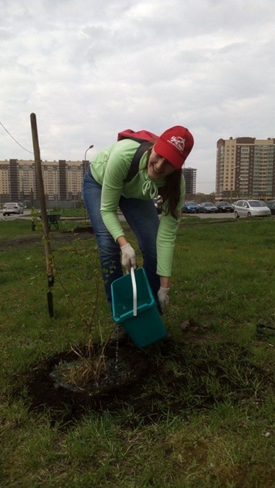 Свежая зелень
