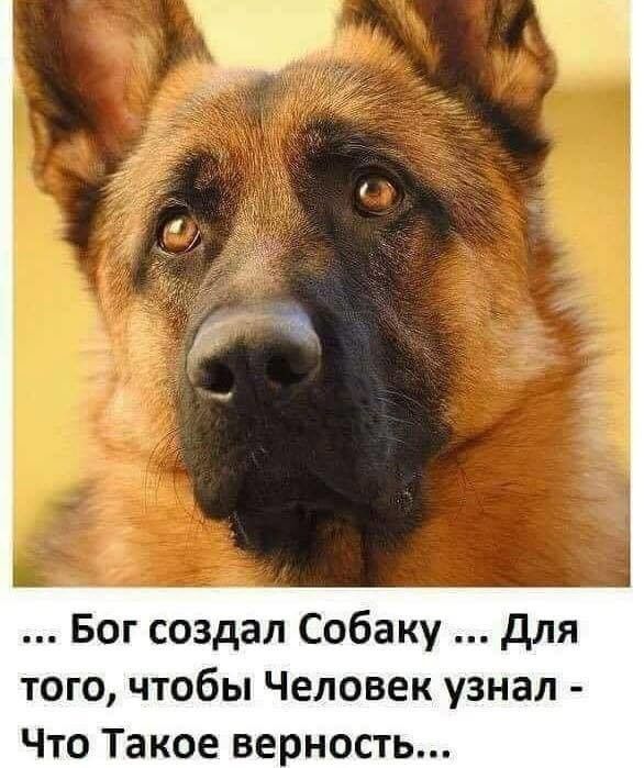 Бездомный поздравил друга с днюхой