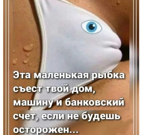 Весёлый полтишок 30.03.22