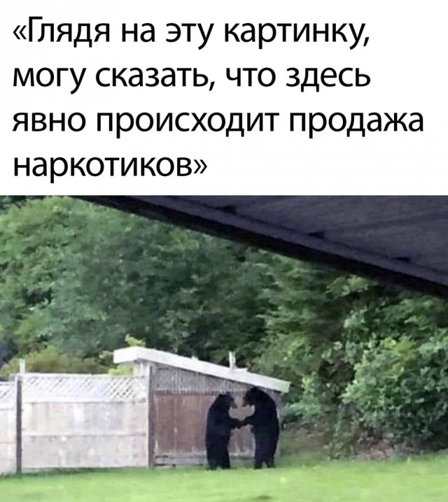 Так себе картинки 04.04.22