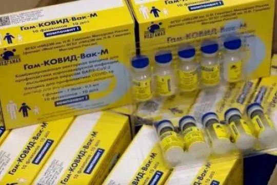 Пандемия. Коронавирус и съехавшие крыши. Россия и мир. Часть 33.