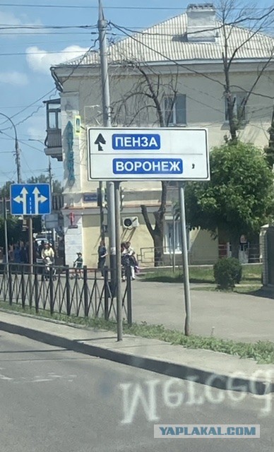 Есть ли на Япе нормальные женщины?