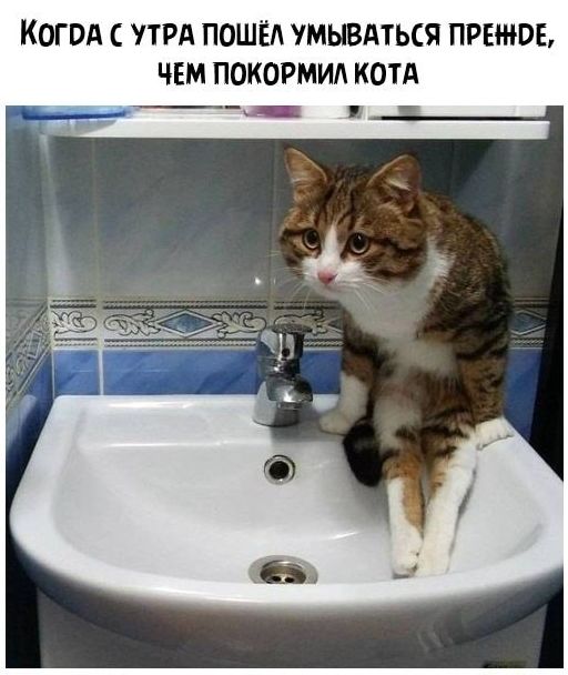 Картинки и мемы для настроения - 19