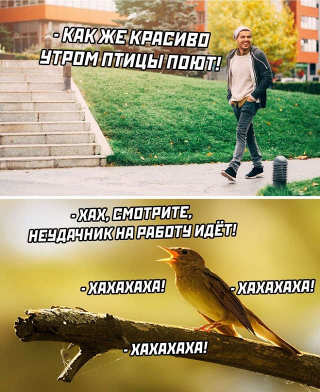 Картинки и мемы для настроения - 17