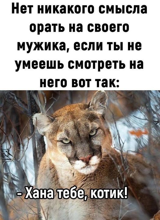 Картинки и мемы, всем хороших выходных