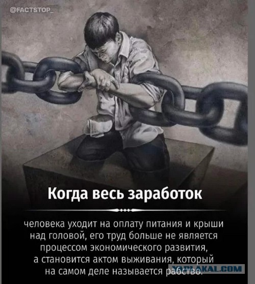 Почему молодые люди не хотят работать?