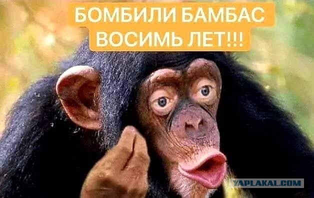 Опубликована карта загрязнения Европы в случае аварии на ЗАЭС