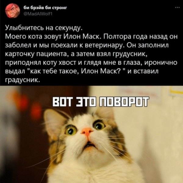 Прикольные и просто красивые картинки 09.11.2022