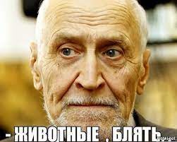 Хотели равноправие?