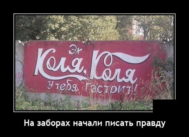 Весёлый полтишок 08.05.23