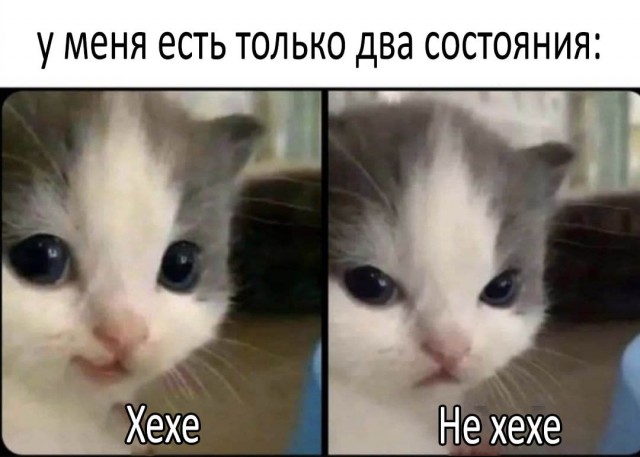 Картинки и мемы, всяко разно - 183