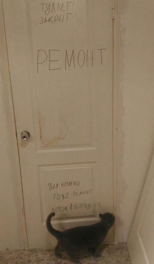 Всего понемногу. И снова пятничный.