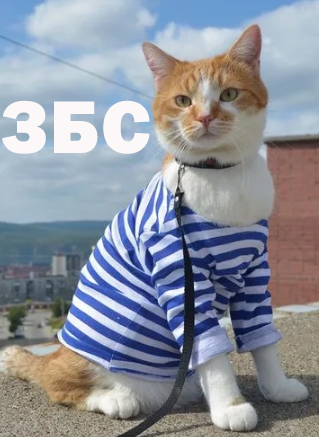 Барсик Ли и Мурзик Чан