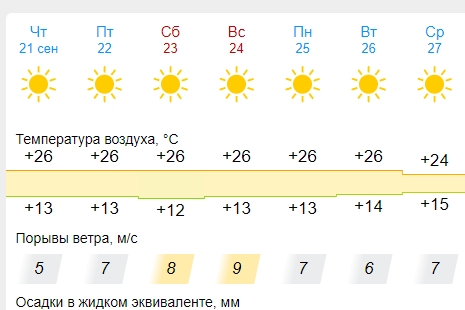 Мой личный опыт: Все “прелести” пьяных знакомств с женщинами