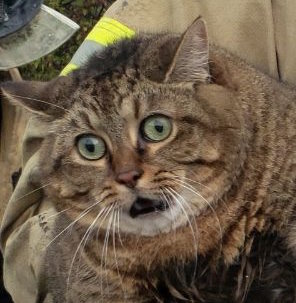 Как задать вопрос Путину на прямой линии в 2023 году... И какой вопрос?