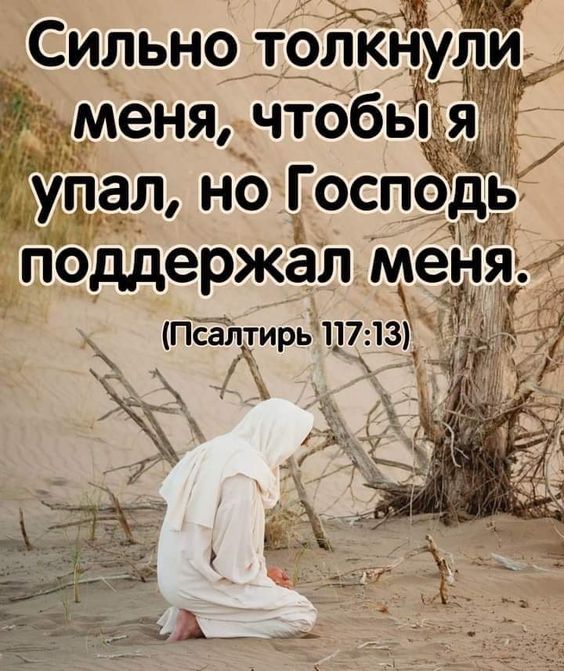 Прикольные и просто красивые картинки 24.09.2024