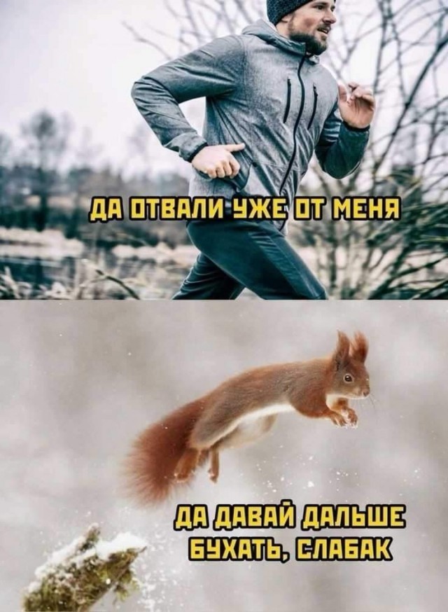 Давайте опубликуем