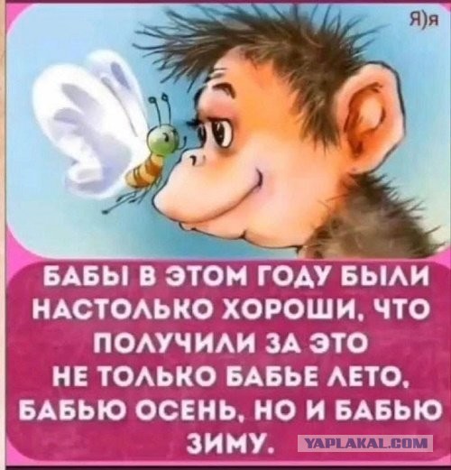 Куда делась зима?