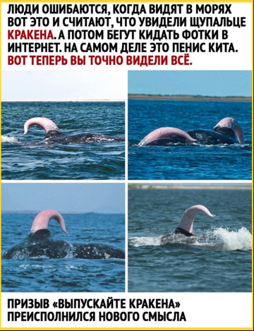 35 картинок от соседа Петросяна