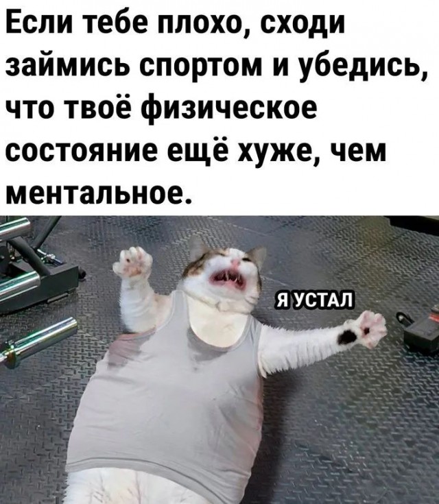 К котовторнику: подборка картинок-баянов с котиками и про котиков. Выпуск 6
