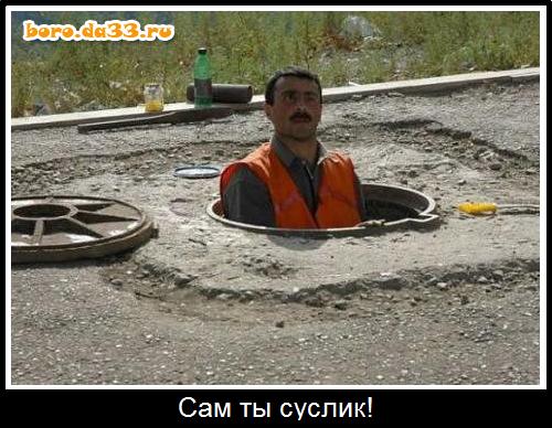 Юмор для тех, кто уже повзрослел и понял, что «готовка» — это разогреть вчерашний суп