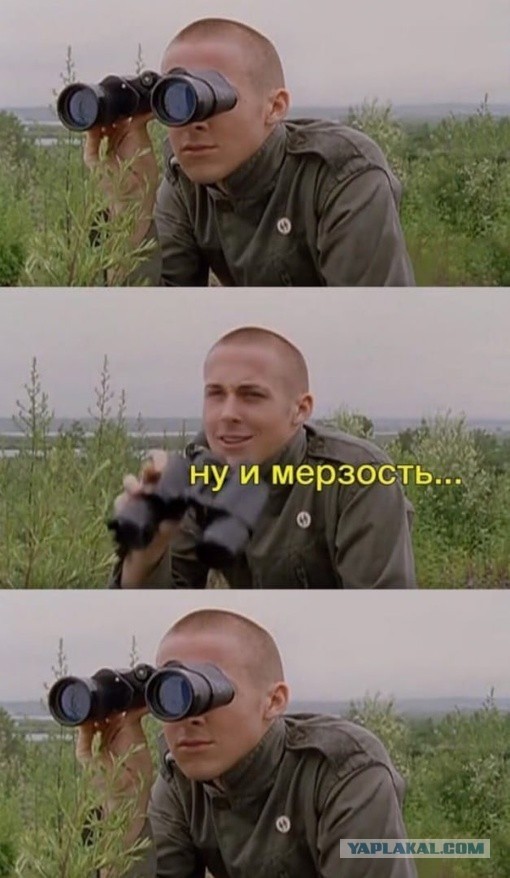 Лесные гаджеты