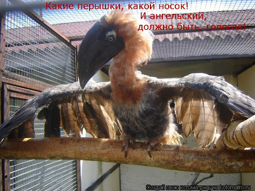 Я так жигу завожу.