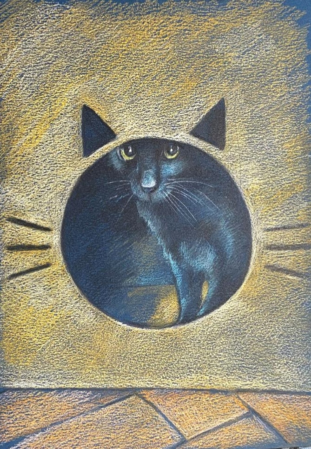 Мои рисунки