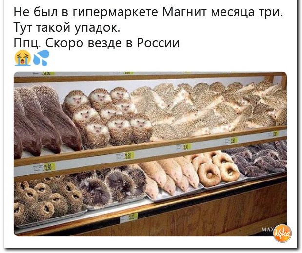 Заголовки западных СМИ. В России голод.
