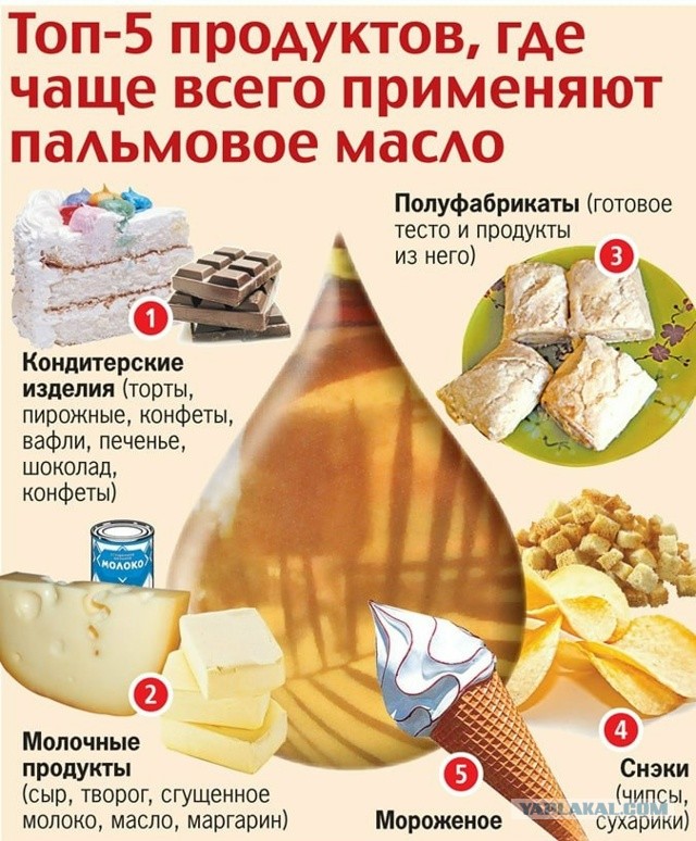 5 мифов о пальмовом масле, в которые многие верят. А зря
