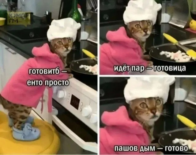 А вы точно повар?!