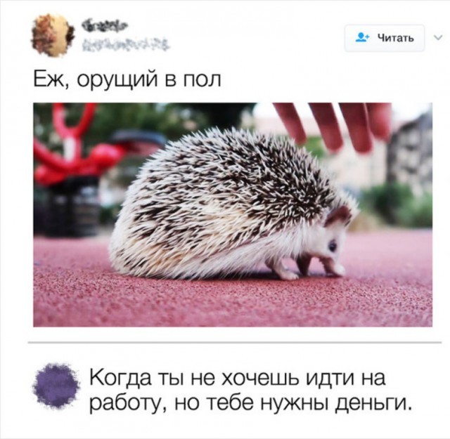 Картинки для деградации 190 (разной степени свежести)