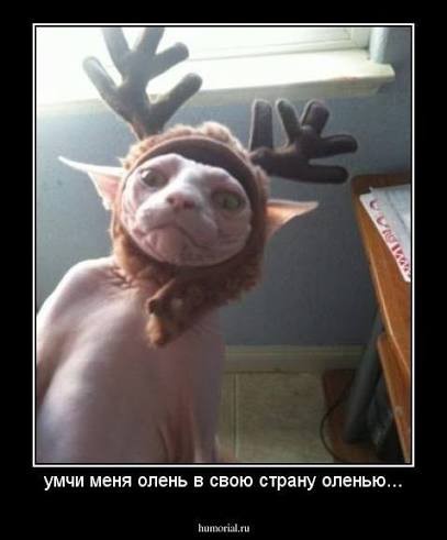 Яплакалъ