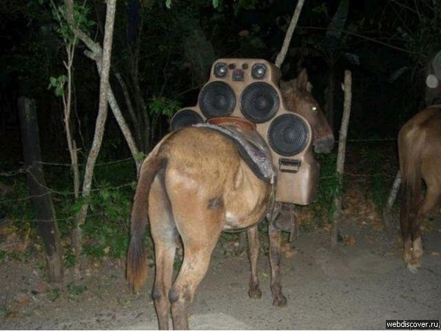 Авто пермского гангстера