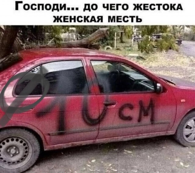 Так себе картинки 25.09.26