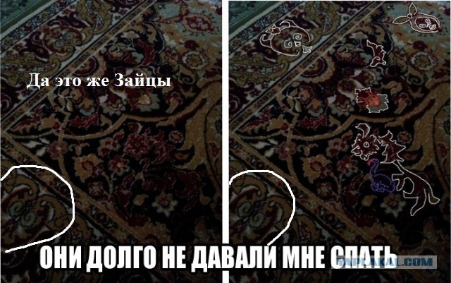 До сих пор ИХ вижу!