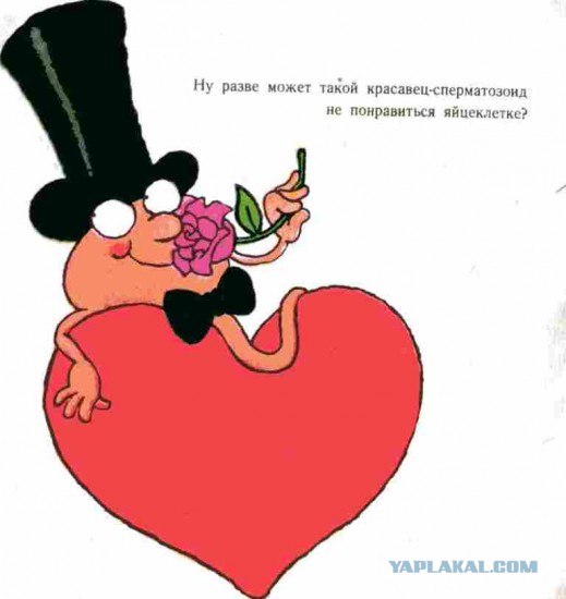 Откуда я взялся?