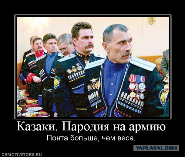 Казаки Волгограда спешат на помощь Севастополю!